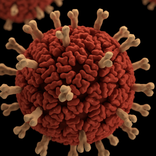 Rotavirus