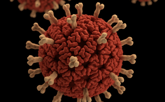 Rotavirus