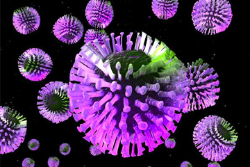 Rotavirus