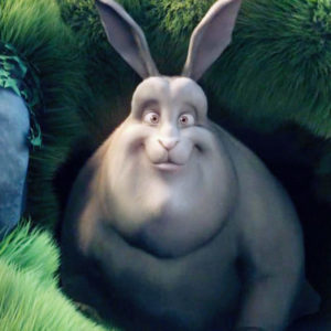 •VIDEO• Big Buck Bunny-HD